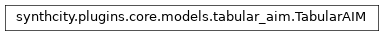 Inheritance diagram of synthcity.plugins.core.models.tabular_aim.TabularAIM